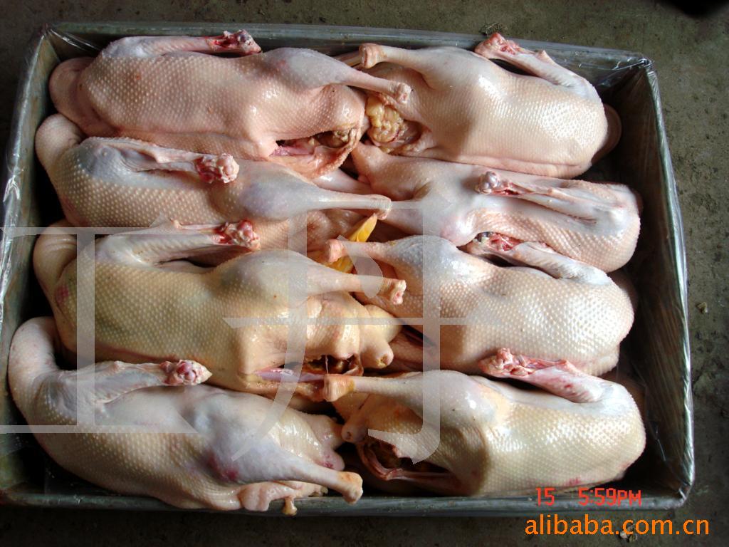 白条鹅,鹅体,鹅肉,老鹅