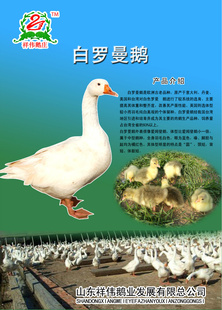 ְ硢ԭָĸֶ
