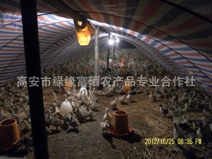 Ҷ졢šҶ졢Ҷ졢Ҷ硢Ʒ