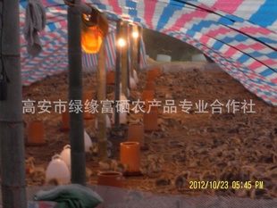 Ҷ졢Ҷ졢߰ṩҶ硢Ʒ֡