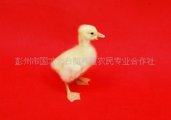 磬Ʒֺãϣ18683875238