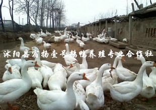 ֱṩ۸ݵĽնض磤