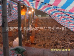߰ҶšҶ졢Ҷ졢Ҷ硢Ʒ