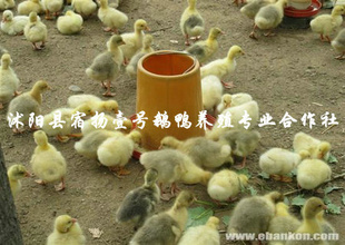 ֱ꽭ض磤