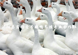 Ĵɻгӭѯ