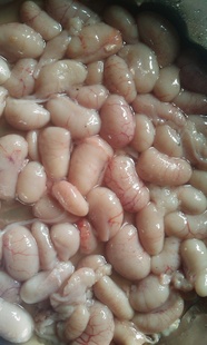 ڹ㶫ضʶ촺