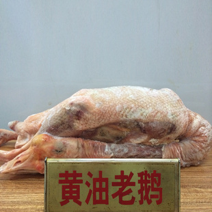 lƷĻ϶죨ȫţʮֻÿ䳧ֱ