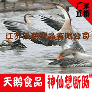 ֻ̱춳