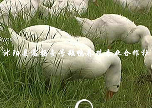 㶫гߺƷӭ