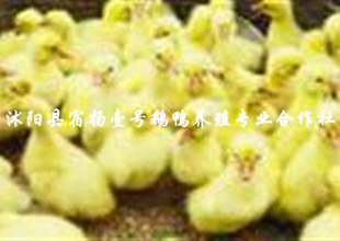 ɳгݻӭ