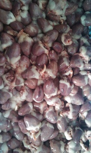 ڹ㶫ضʶĶ