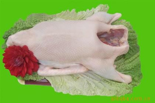 天鹅湖生态农业大量白条鹅、鹅肉