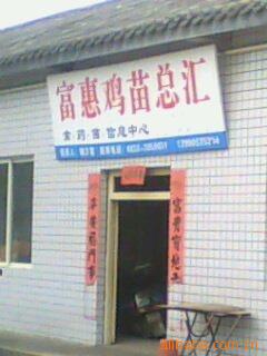 缦..Ѽ.....