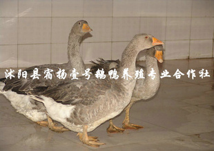 ʵ¶ɳݻӭ