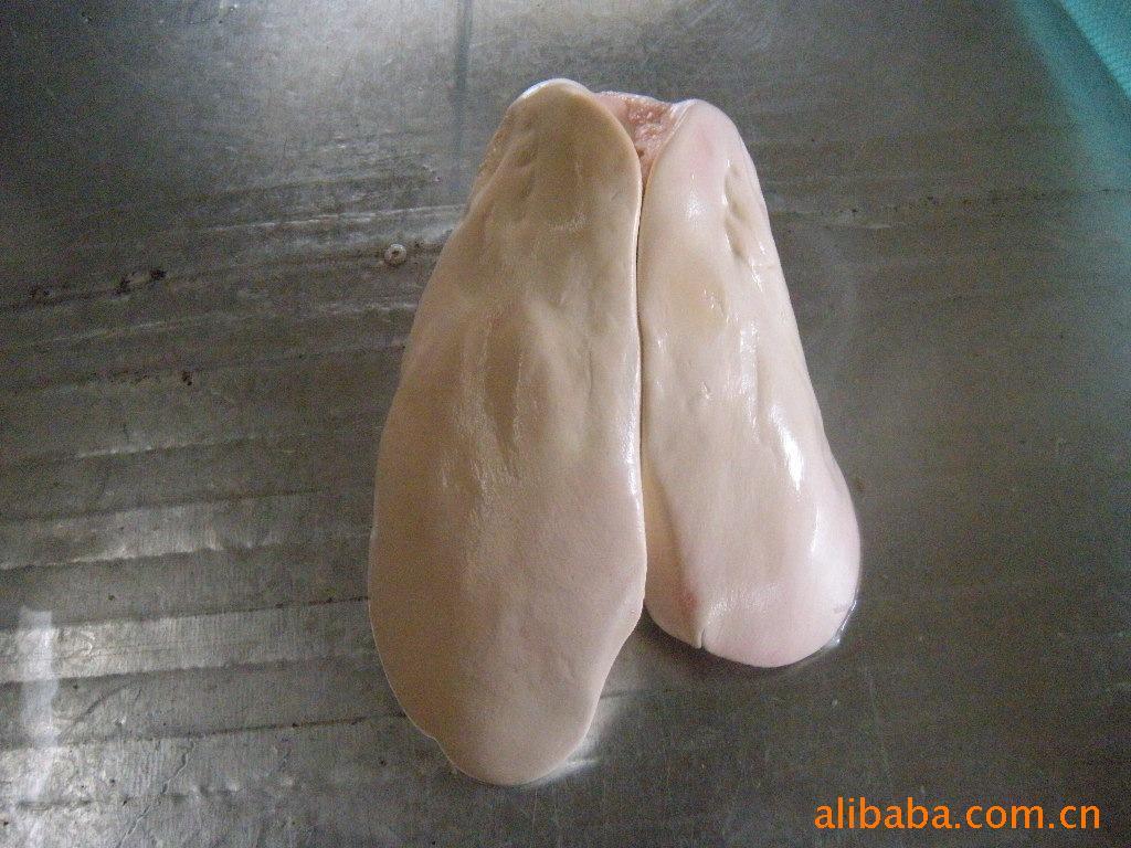 ʸΡ츱