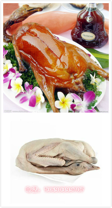 㶫ضʺض