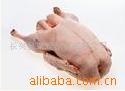 ƶ츱Ʒϵ——