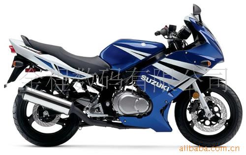 ľGS500