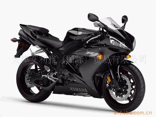 ĦгYZF-R1Ħг
