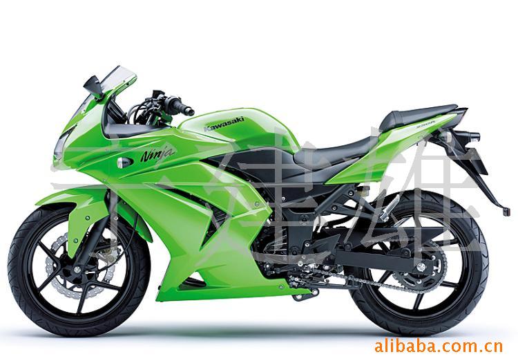 ĦгZX250R