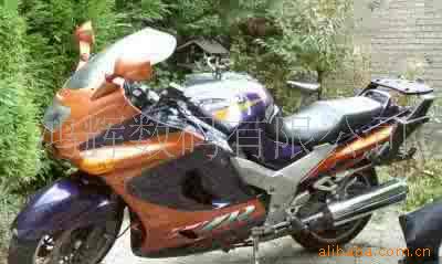 ZZR1100Ħг