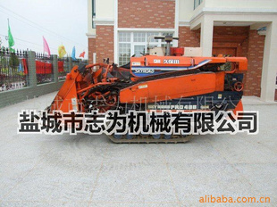 ñ488ո