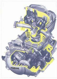 YGF150CBF150
