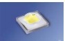 Ӧŷ˾LED׹LCWCRDP.EC