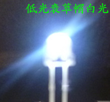5mmñ׹LEDܵ͹˥1800--2000mcd