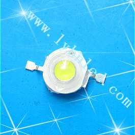 1WLED׹LED1W