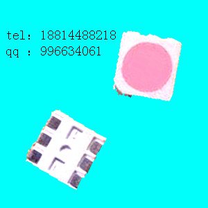 Ӧ5050ۺ