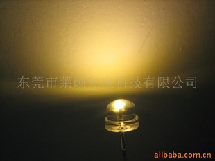 ֱLED-5mmֿů׹