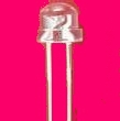 LED5MMñ˥׵ƹ