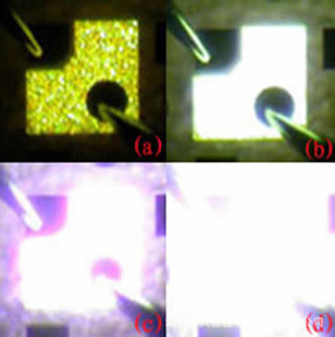LEDоƬ׹10*2323-24.5