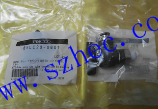 PISCOBVLC20-0601
