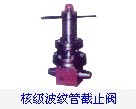 J145X-16綯ңط