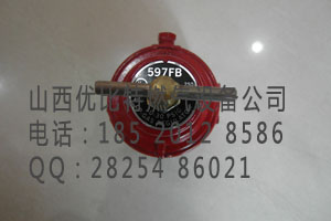 REGO597FB597FB۸597FBӦ597ͼ