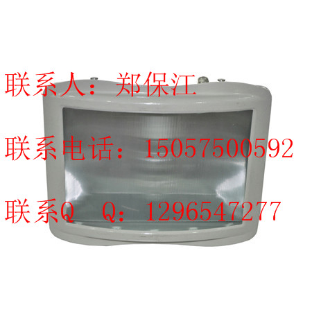 NYF9230ͨ·NYF9230AC200V