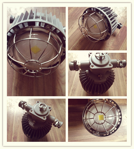DGS50/127L(A)50W