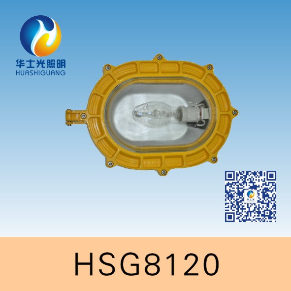 HSG8120/BFC8120ڳǿⷺ