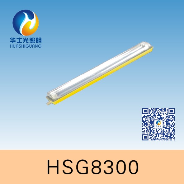 HSG8300/BYC8300ȫӫ