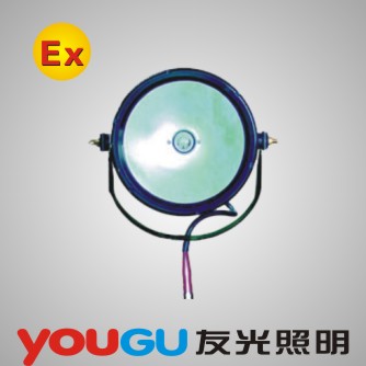 DGY100-24