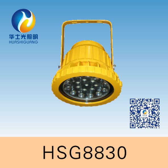 HSG8830/BC9501LEDͶ