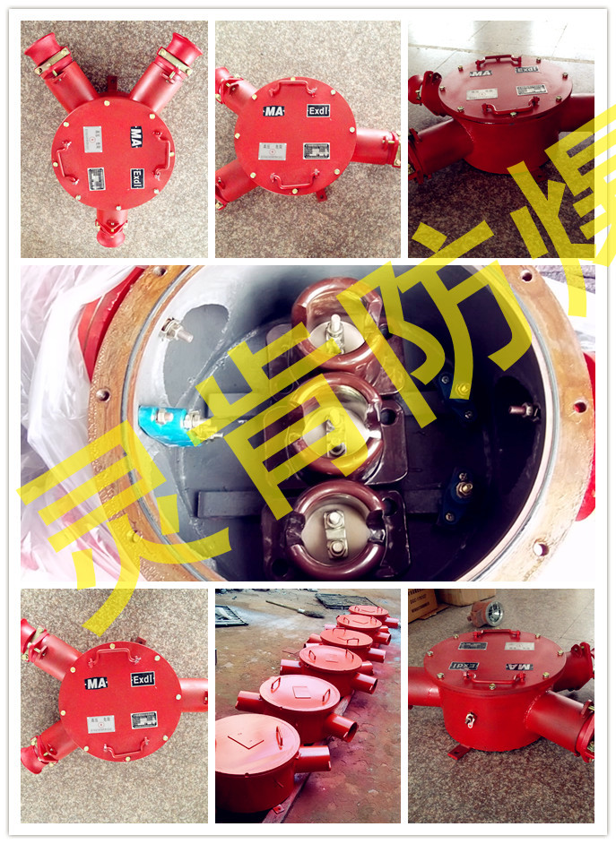 BHG1-400/10-2Gѹߺ