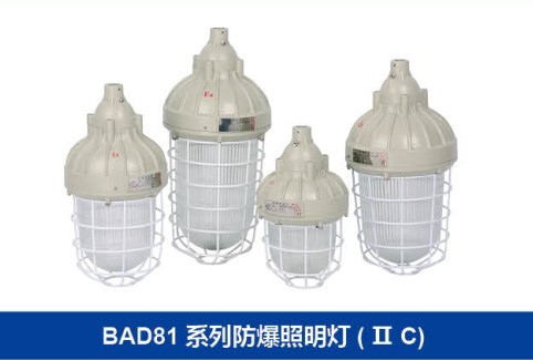 防照明灯|隔型防灯|BAD81防照明灯IIC