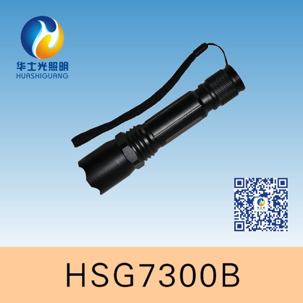 HSG7300B/JW7300B΢ͷͲ