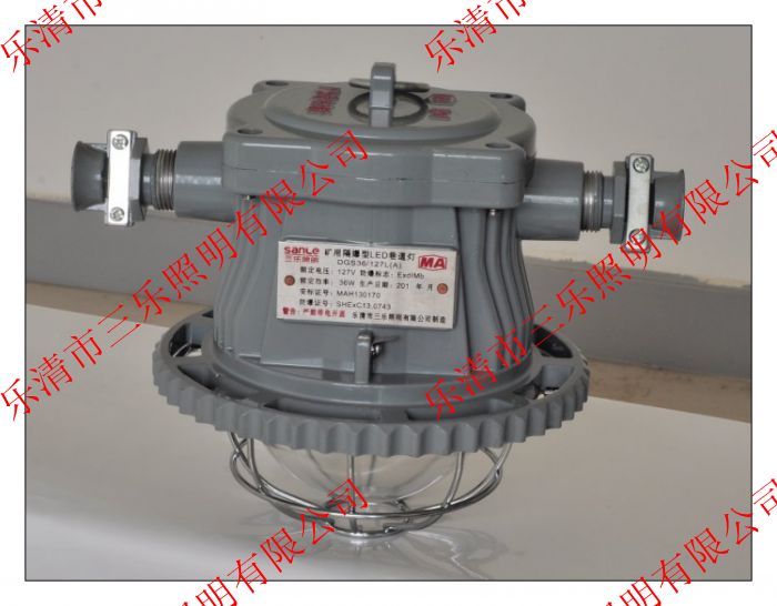DGS30/127L(A)ƣ30W