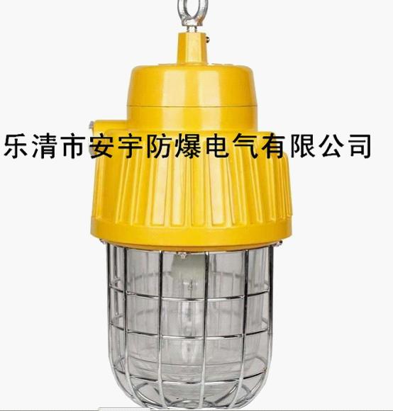 DGS70/127B(B)防泛光灯/70W防投光灯
