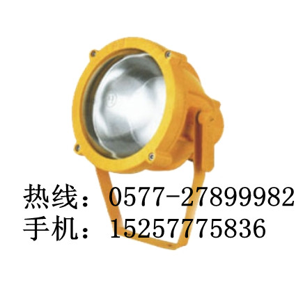 海洋王BTC8200-100W防投光灯