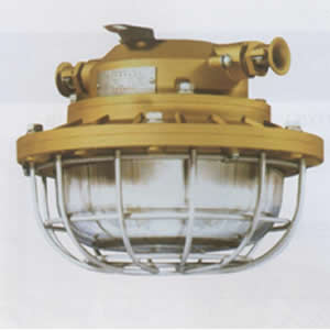 DGS40/127Y(F)DGS50/127Y(F)